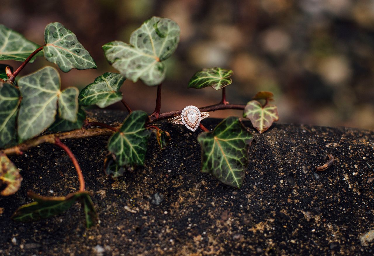 pretty ring shot in the vine